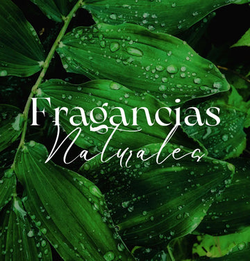 Tendencias en Fragancias Naturales 2025: Energía y Tranquilidad